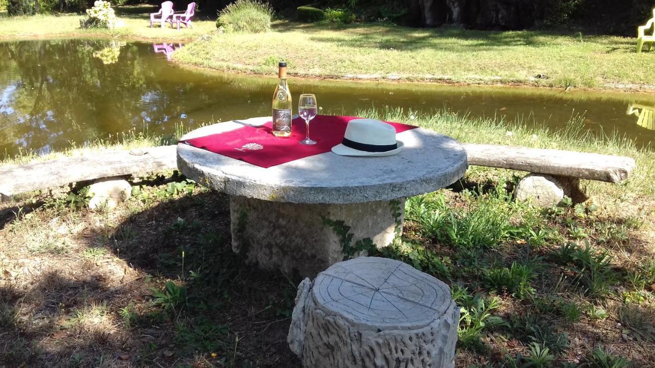 Domaine De Bellevue Chambre D'Hotes Beaumes-de-Venise Dış mekan fotoğraf