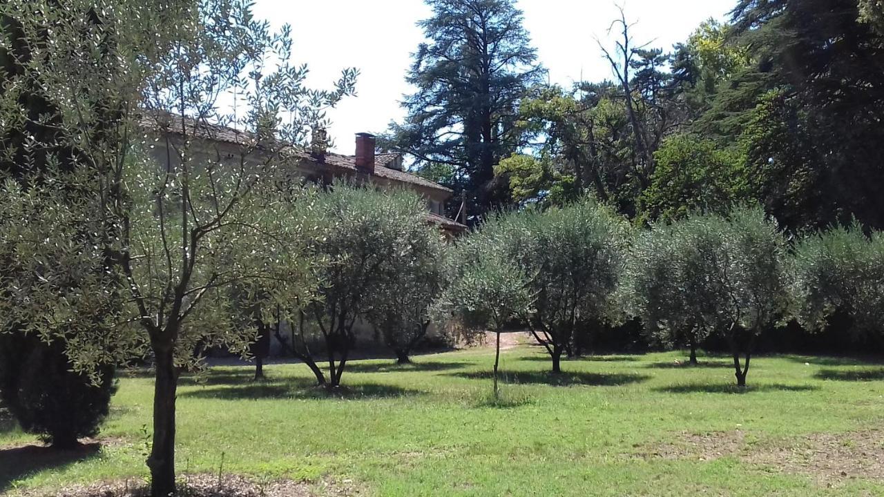Domaine De Bellevue Chambre D'Hotes Beaumes-de-Venise Dış mekan fotoğraf